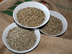 Green Beans